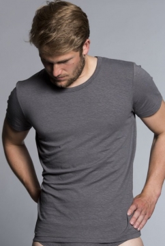 man_slim_t-shirt_TIM_21521006_steelgrey